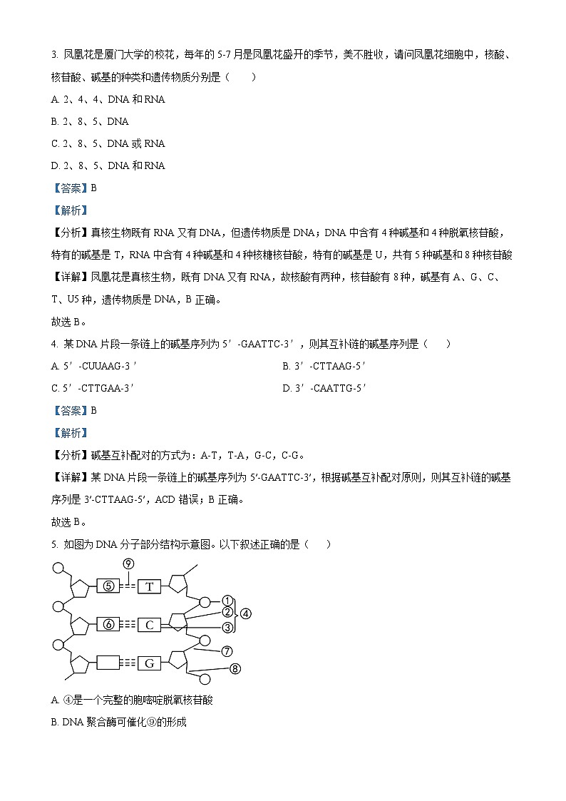 四川省江油中学2022-2023学年高一生物下学期期中试题（Word版附解析）第2页