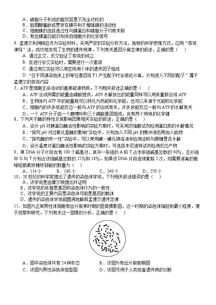 浙江省北斗联盟2022-2023学年高一生物下学期期中联考试题（Word版附答案）02