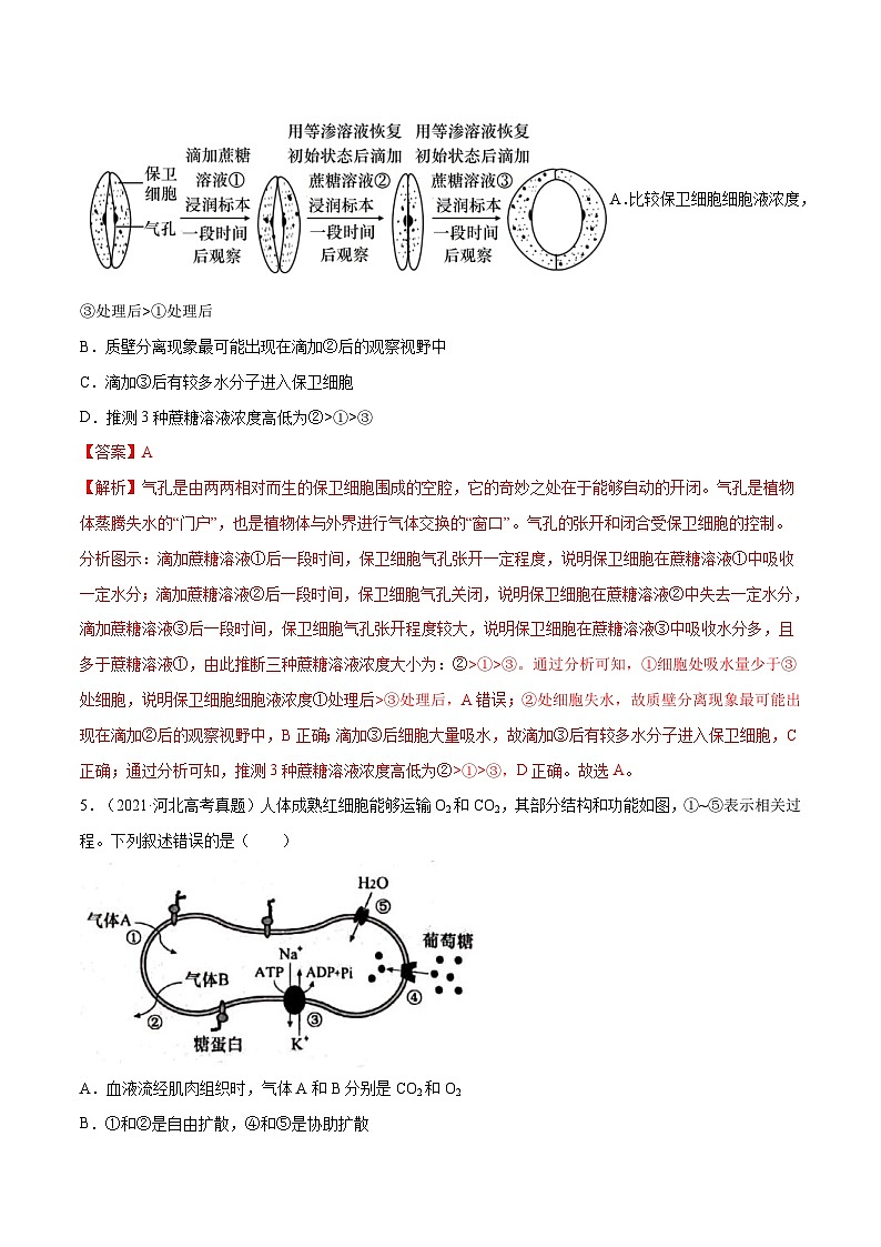 专题02 细胞的能量与代谢-十年（2012-2021）高考生物真题分项汇编（全国通用）（解析版）03