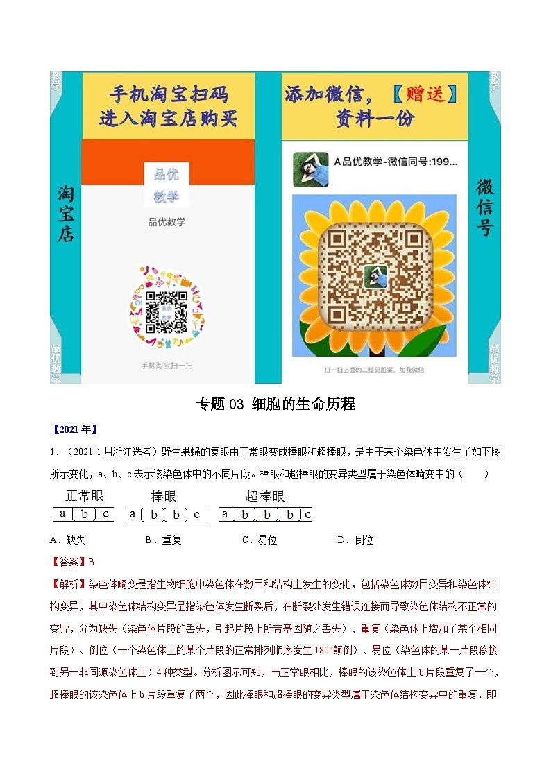 专题03 细胞的生命历程-十年（2012-2021）高考生物真题分项汇编（全国通用）（解析版）01