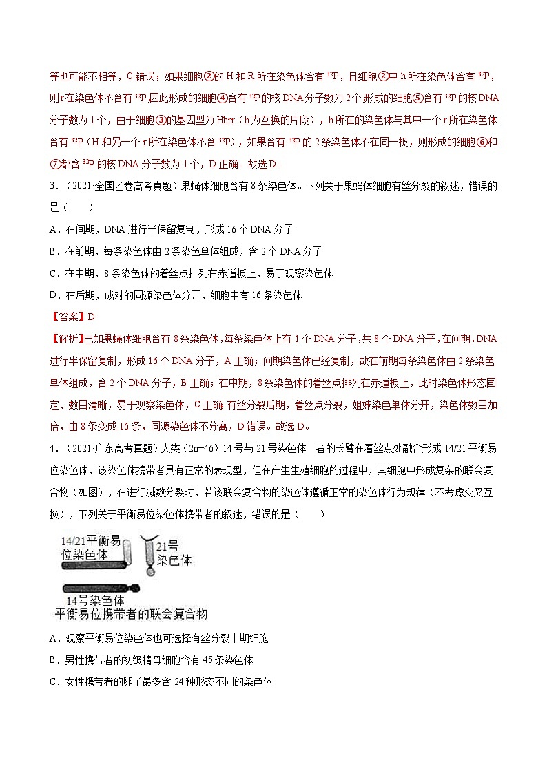专题03 细胞的生命历程-十年（2012-2021）高考生物真题分项汇编（全国通用）（解析版）03