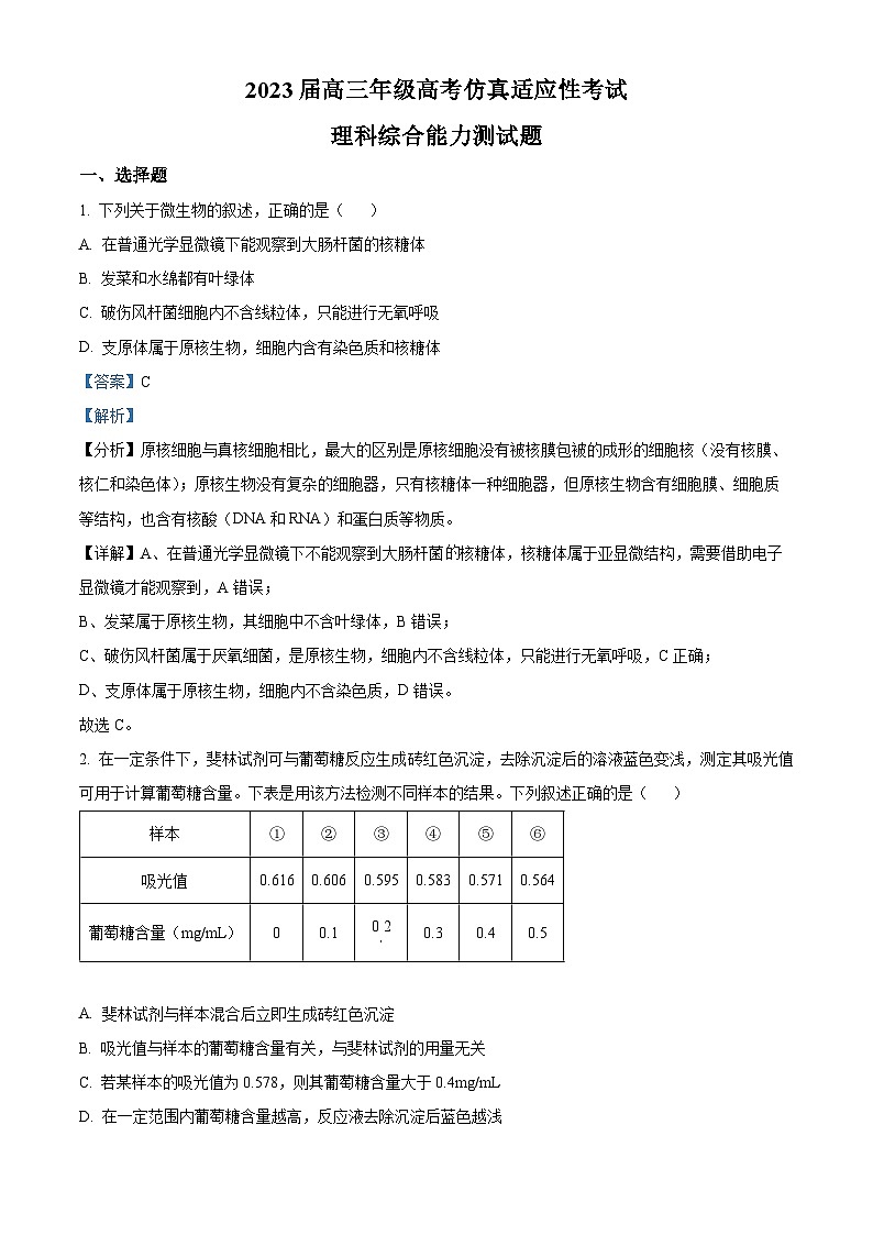 安徽省池州市一中2022-2023学年高三生物下学期4月月考试题（Word版附解析）第1页