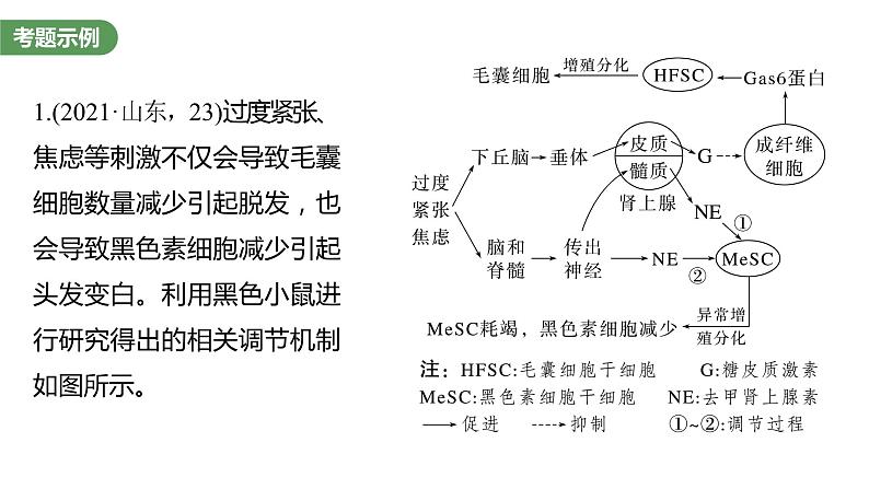 2023届高考生物复习专题★★★　个体稳态中相关过程变化机理分析课件PPT第2页