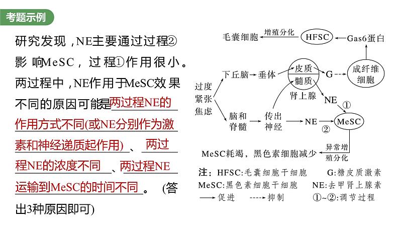 2023届高考生物复习专题★★★　个体稳态中相关过程变化机理分析课件PPT第3页