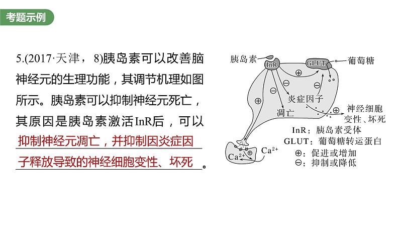 2023届高考生物复习专题★★★　个体稳态中相关过程变化机理分析课件PPT第7页