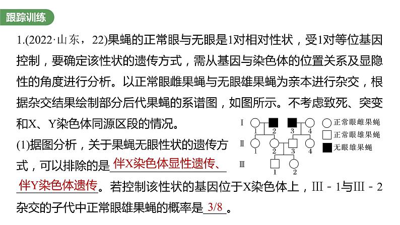 2023届高考生物复习专题★★★　基因在染色体上的位置判断课件PPT03