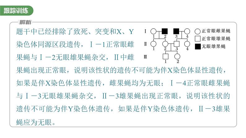 2023届高考生物复习专题★★★　基因在染色体上的位置判断课件PPT04