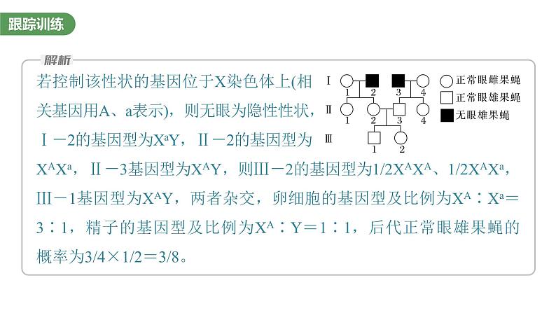 2023届高考生物复习专题★★★　基因在染色体上的位置判断课件PPT05