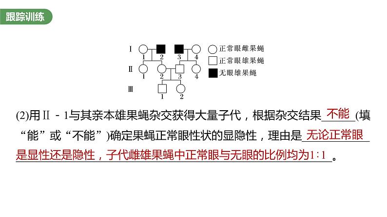 2023届高考生物复习专题★★★　基因在染色体上的位置判断课件PPT06