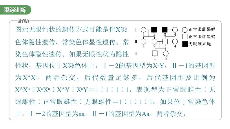 2023届高考生物复习专题★★★　基因在染色体上的位置判断课件PPT07