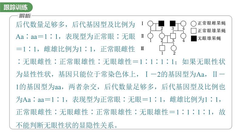 2023届高考生物复习专题★★★　基因在染色体上的位置判断课件PPT08