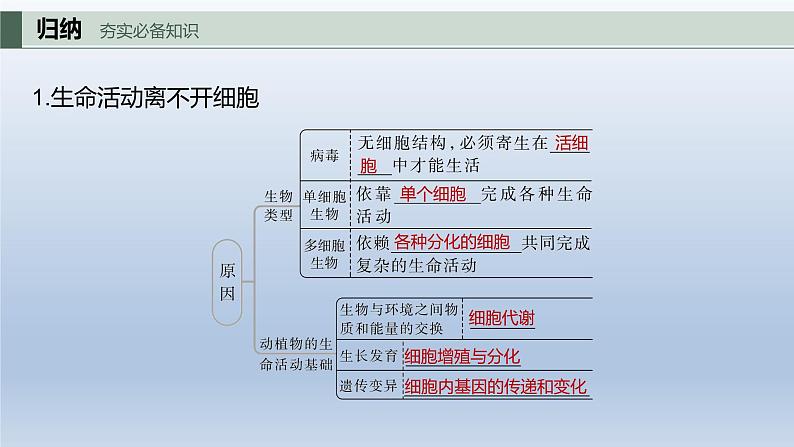 2023届高考生物复习专题★★★　走近细胞课件PPT第3页