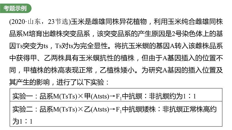 2023届高考生物复习专题★★★遗传实验中相关推理分析课件PPT第2页