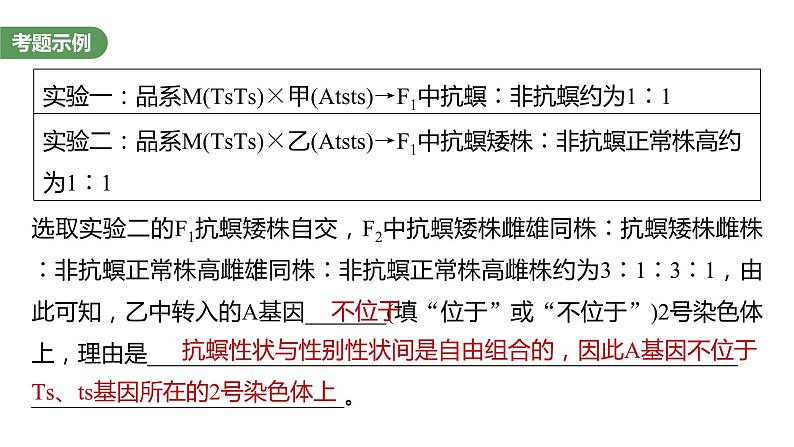 2023届高考生物复习专题★★★遗传实验中相关推理分析课件PPT第3页