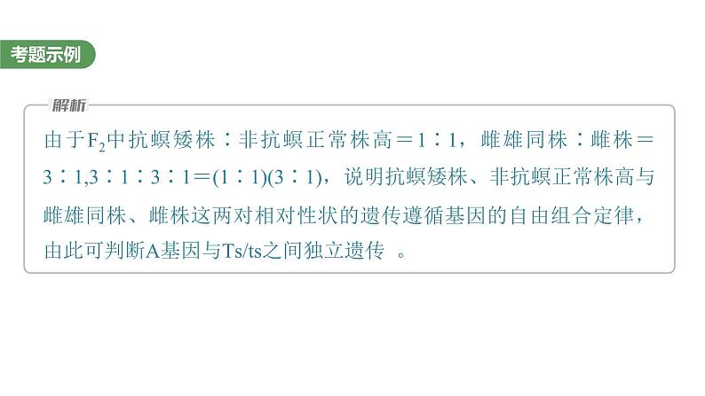 2023届高考生物复习专题★★★遗传实验中相关推理分析课件PPT第4页