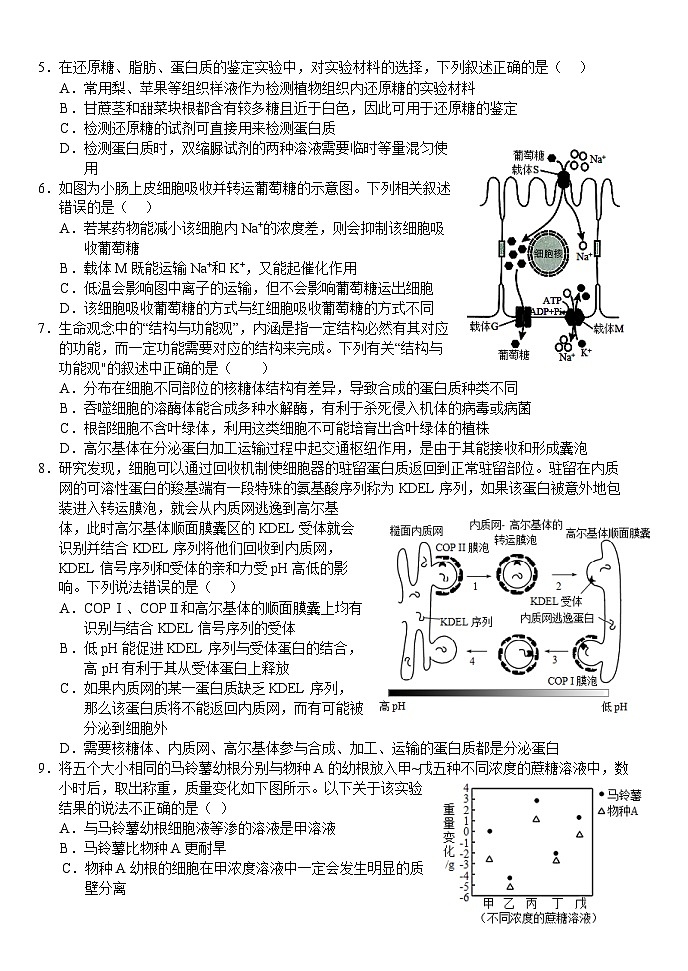 湖北省荆州市沙市区沙市中学2022-2023学年高一生物下学期5月月考试题（Word版附答案）第2页