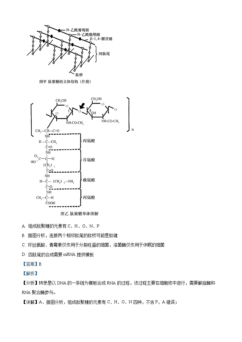 重庆市南开中学2023届高三生物第九次质量检测试题（Word版附解析）第2页