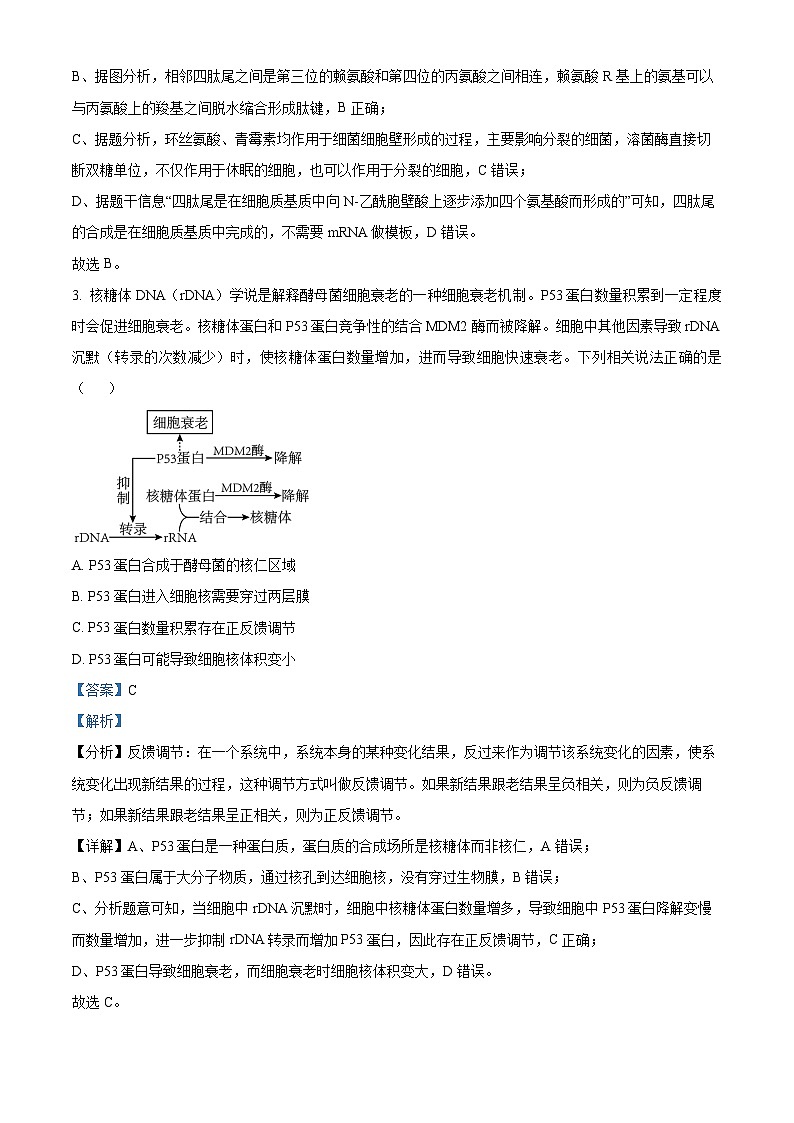 重庆市南开中学2023届高三生物第九次质量检测试题（Word版附解析）第3页