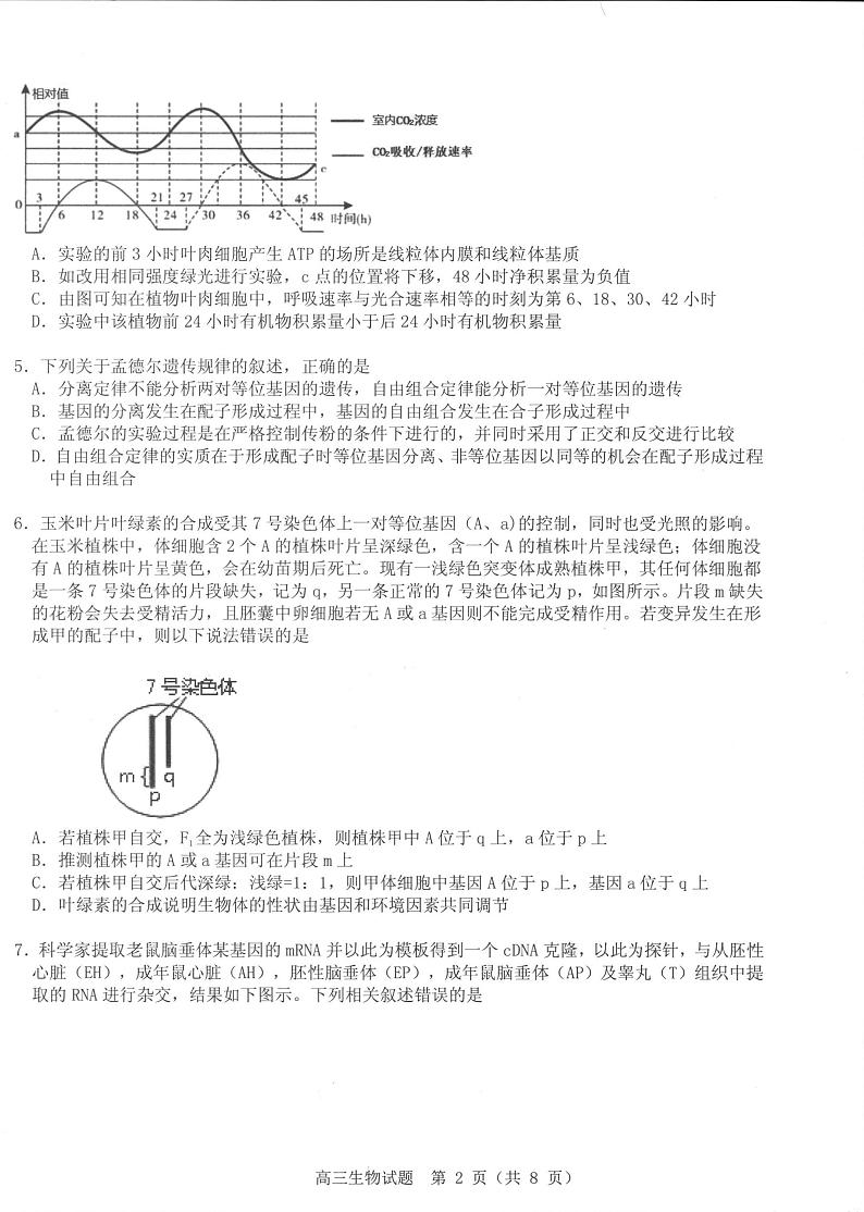 生物试卷第2页