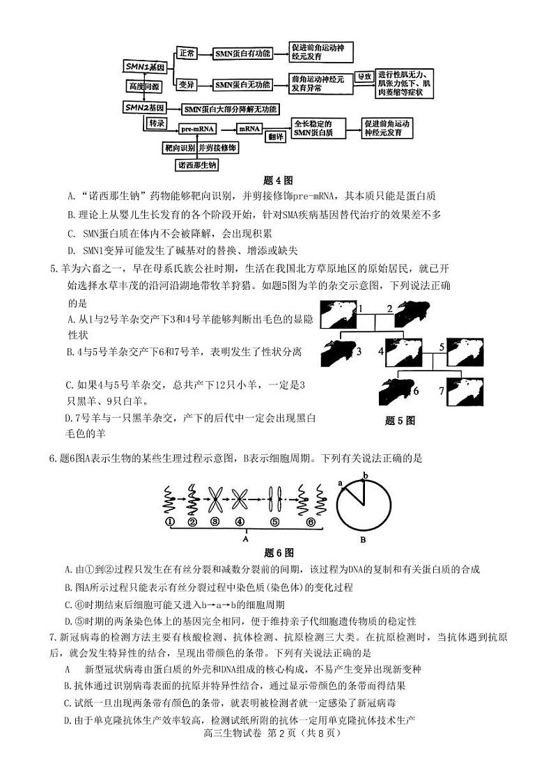 重庆主城区二诊高2023届学业质量调研抽测（第二次）生物试题第2页