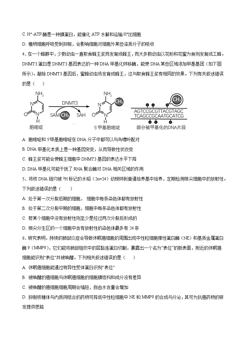 卷02【押题演练】备战2023年高考生物全真模拟押题卷（江苏卷）（原卷版）02