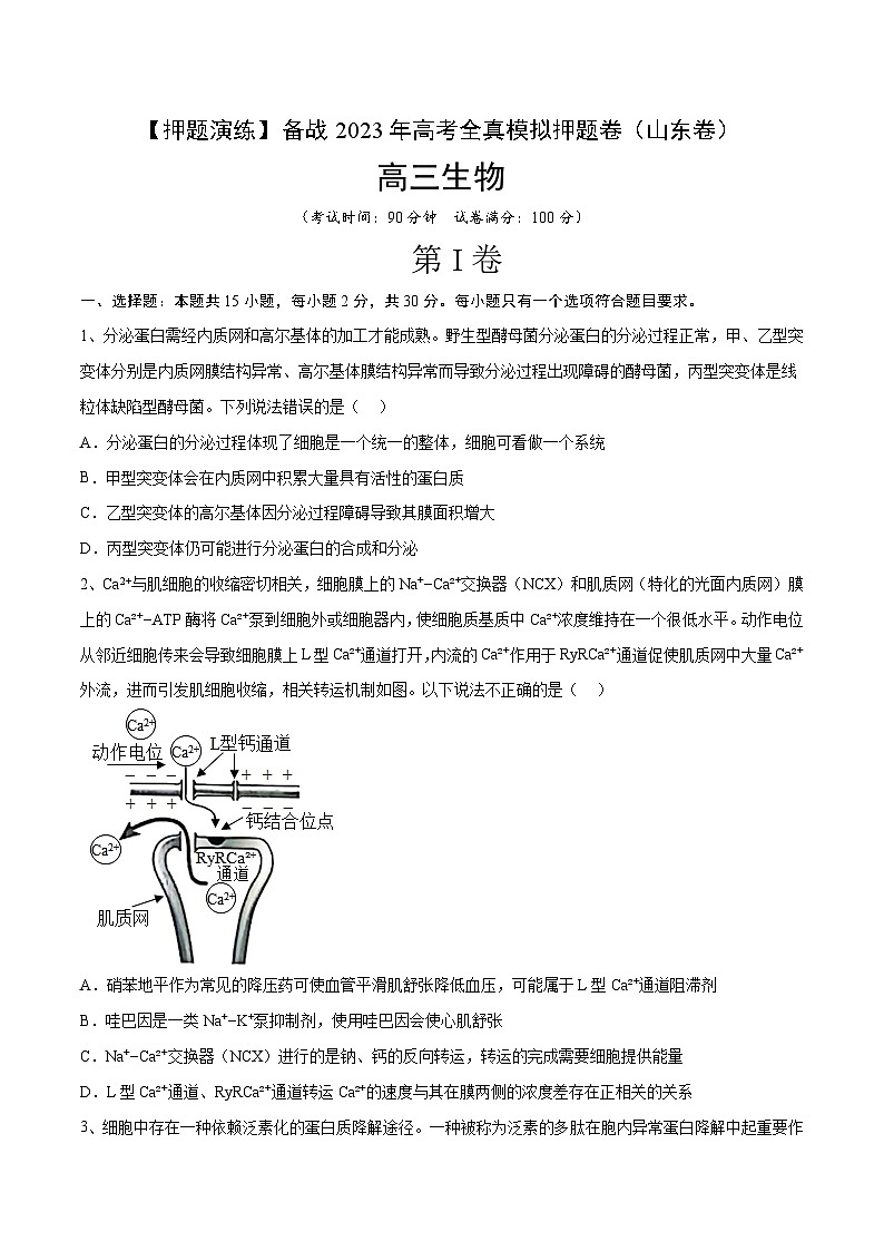 卷02【押题演练】备战2023年高考生物全真模拟押题卷（山东卷）（原卷版）01