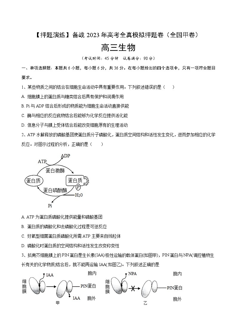 卷03【押题演练】备战2023年高考生物全真模拟押题卷（全国甲卷）（原卷版）第1页