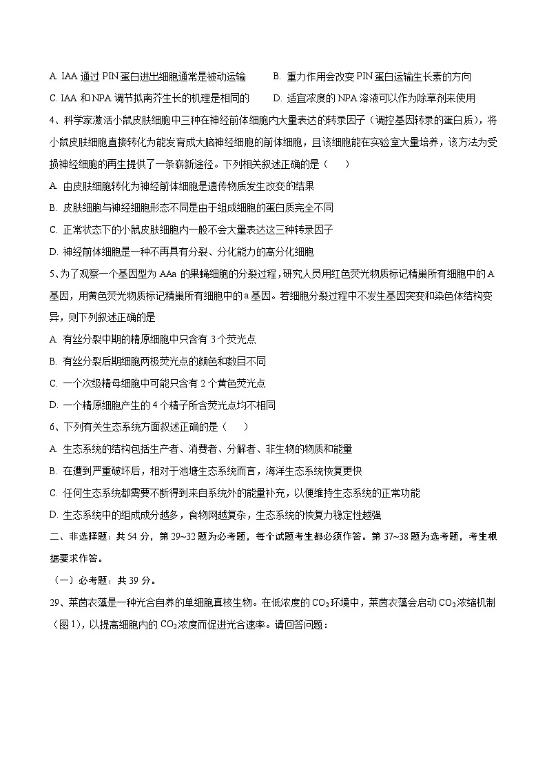 卷03【押题演练】备战2023年高考生物全真模拟押题卷（全国甲卷）（原卷版）第2页