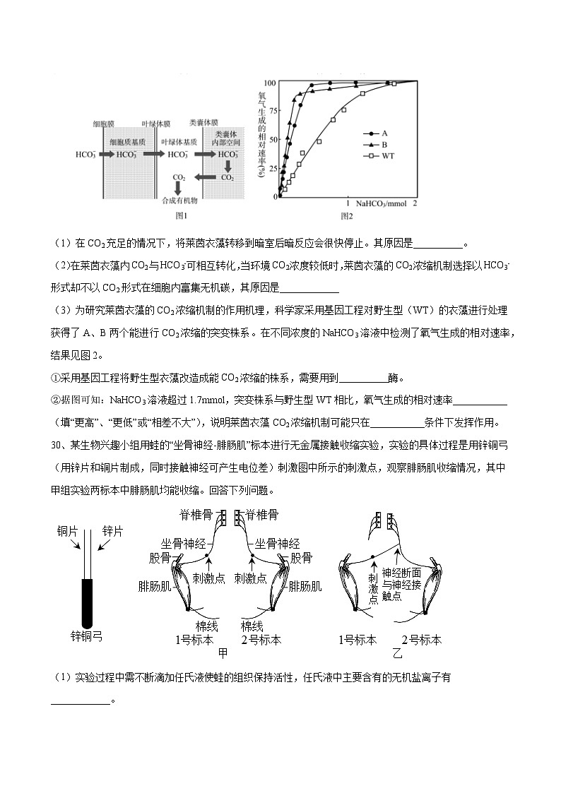 卷03【押题演练】备战2023年高考生物全真模拟押题卷（全国甲卷）（原卷版）第3页