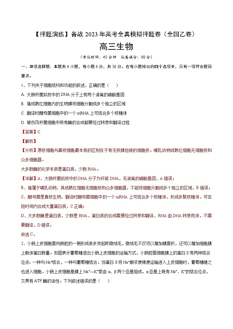 卷03【押题演练】备战2023年高考生物全真模拟押题卷（全国乙卷）（解析版）01