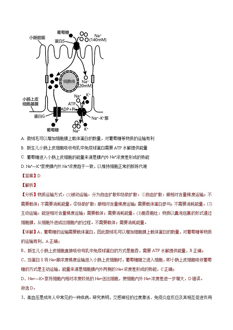 卷03【押题演练】备战2023年高考生物全真模拟押题卷（全国乙卷）（解析版）02