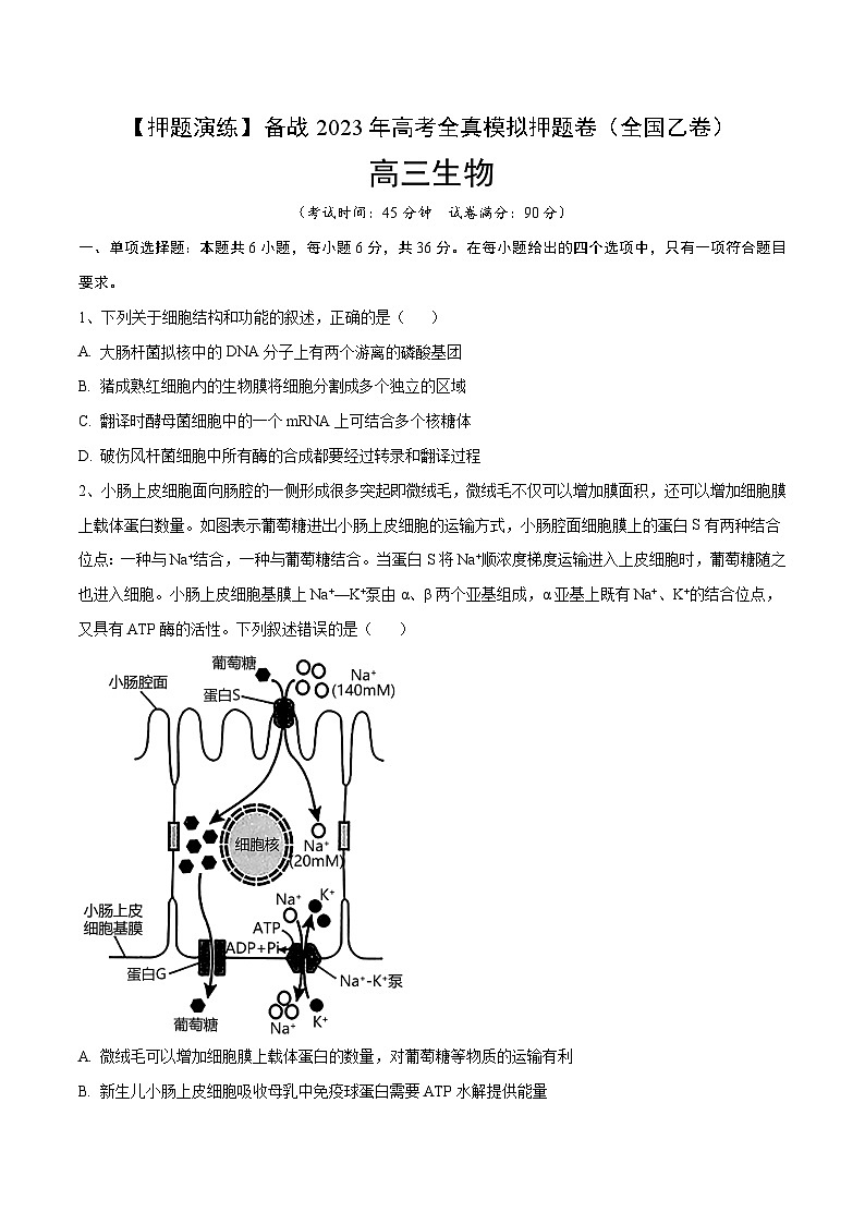 卷03【押题演练】备战2023年高考生物全真模拟押题卷（全国乙卷）（原卷版）01