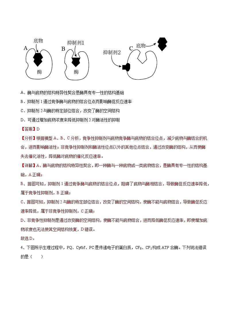 卷03【押题演练】备战2023年高考生物全真模拟押题卷（山东卷）（解析版）03
