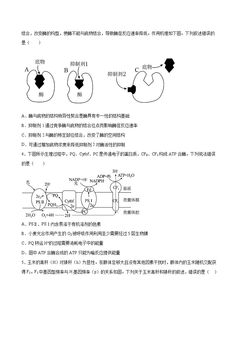 卷03【押题演练】备战2023年高考生物全真模拟押题卷（山东卷）（原卷版）02
