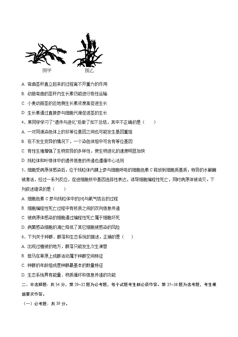 卷04【押题演练】备战2023年高考生物全真模拟押题卷（全国甲卷）（原卷版）02