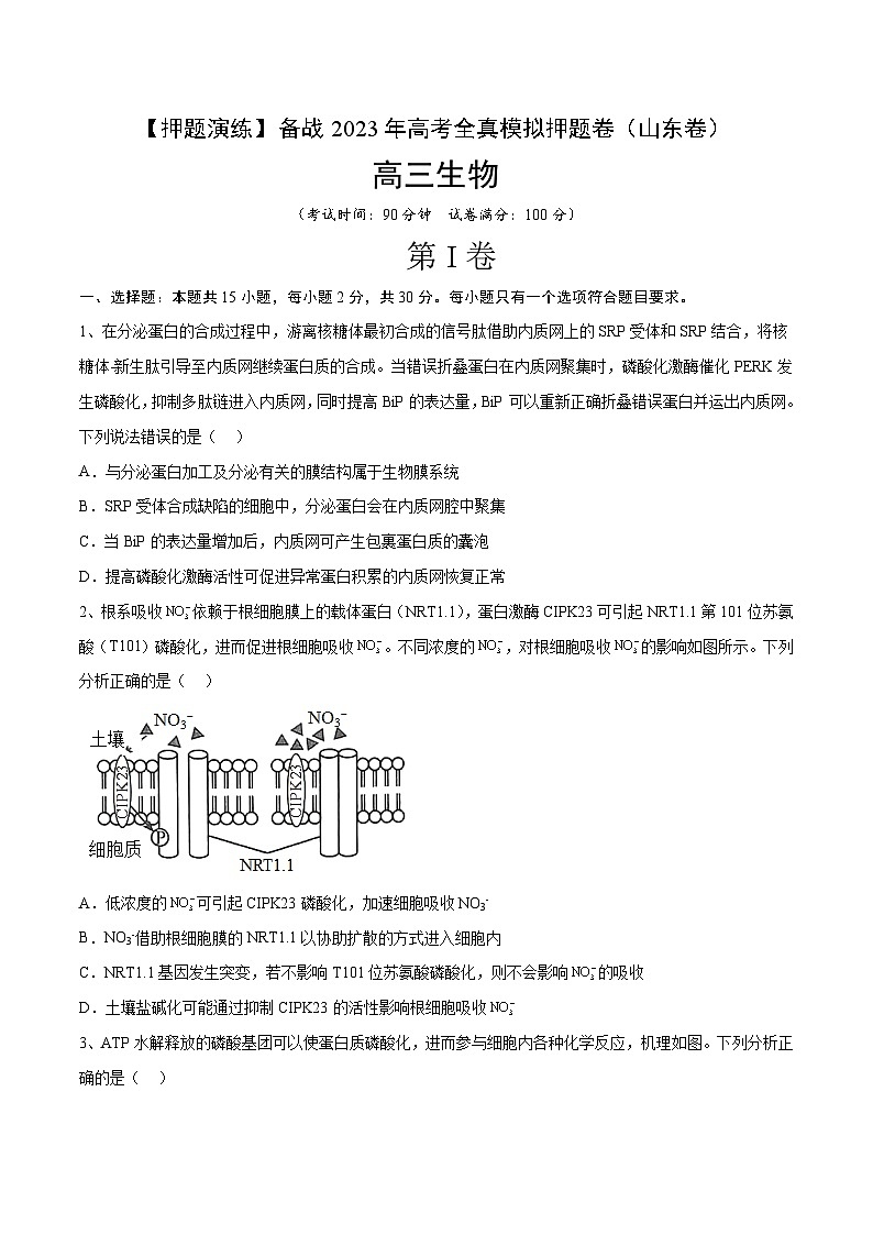 卷04【押题演练】备战2023年高考生物全真模拟押题卷（山东卷）（原卷版）01