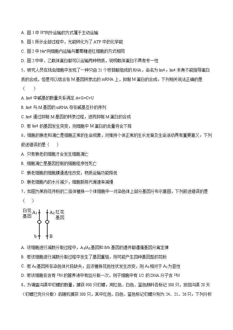 卷04【押题演练】备战2023年高考生物全真模拟押题卷（天津卷）（原卷版）02