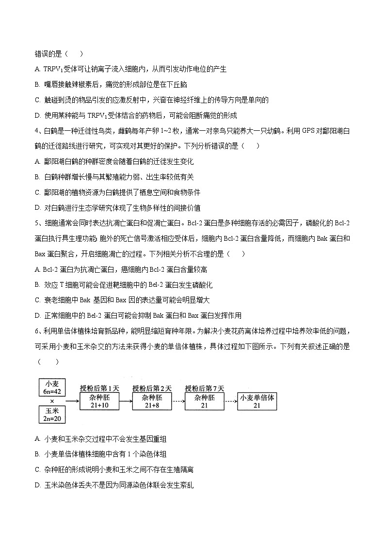 卷05【押题演练】备战2023年高考生物全真模拟押题卷（全国乙卷）（原卷版）02