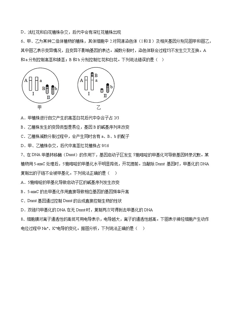 卷05【押题演练】备战2023年高考生物全真模拟押题卷（山东卷）（原卷版）第3页