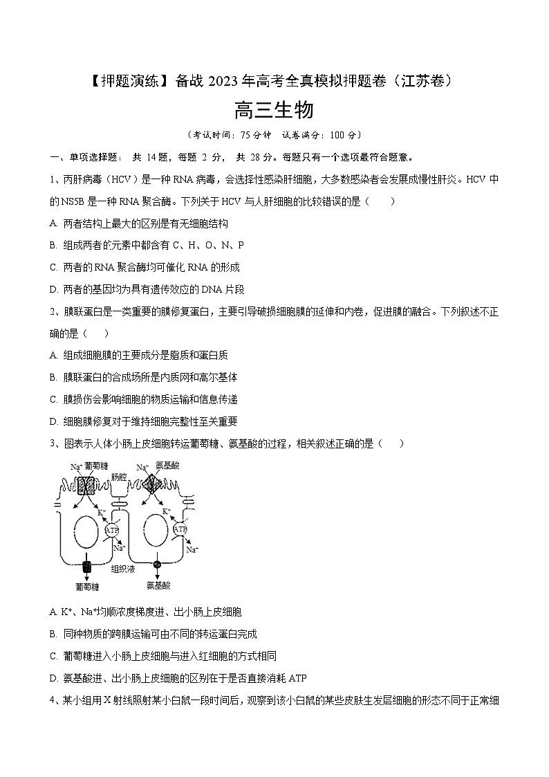 卷05【押题演练】备战2023年高考生物全真模拟押题卷（江苏卷）（原卷版）01