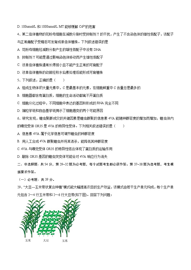 卷05【押题演练】备战2023年高考生物全真模拟押题卷（全国甲卷）（原卷版）第2页