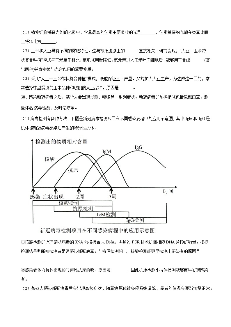 卷05【押题演练】备战2023年高考生物全真模拟押题卷（全国甲卷）（原卷版）第3页