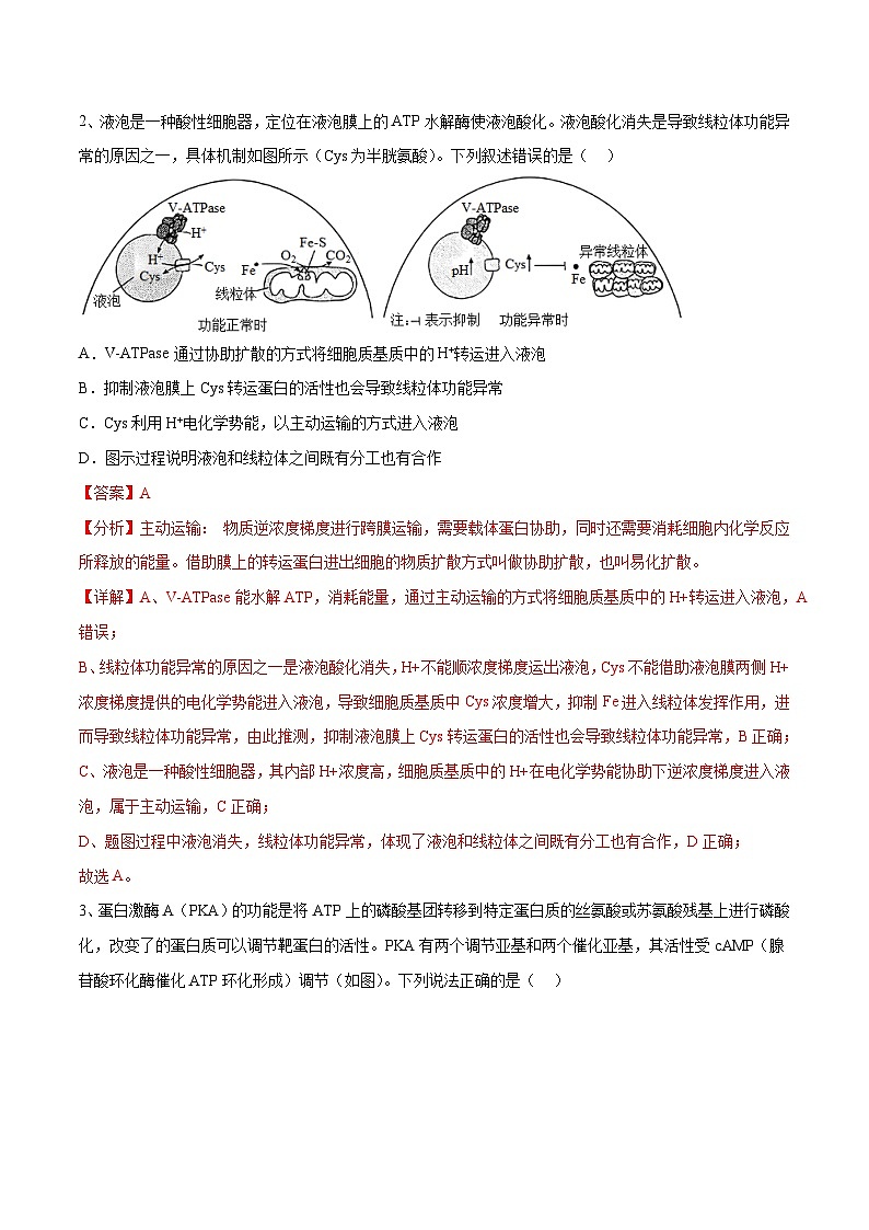 卷01【押题演练】备战2023年高考生物全真模拟押题卷（山东卷）（解析版）02