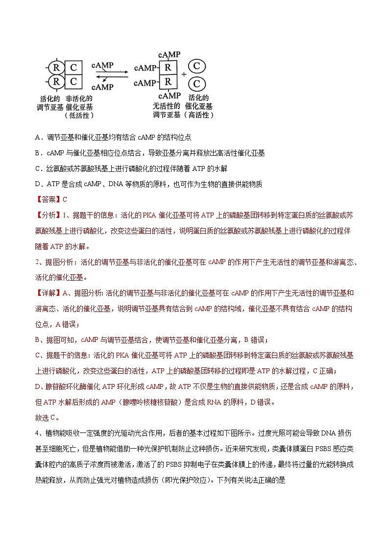 卷01【押题演练】备战2023年高考生物全真模拟押题卷（山东卷）（解析版）03