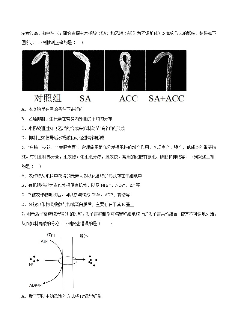 卷01【押题演练】备战2023年高考生物全真模拟押题卷（广东卷）（原卷版）第2页
