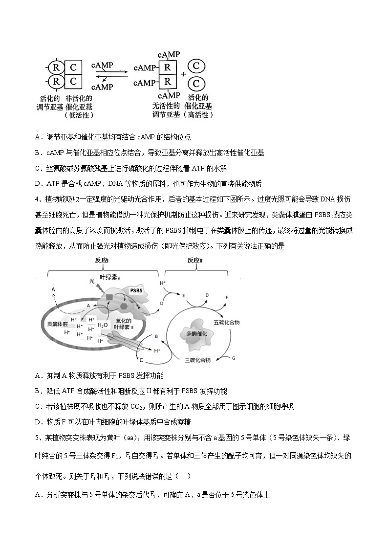 卷01【押题演练】备战2023年高考生物全真模拟押题卷（山东卷）（原卷版）02