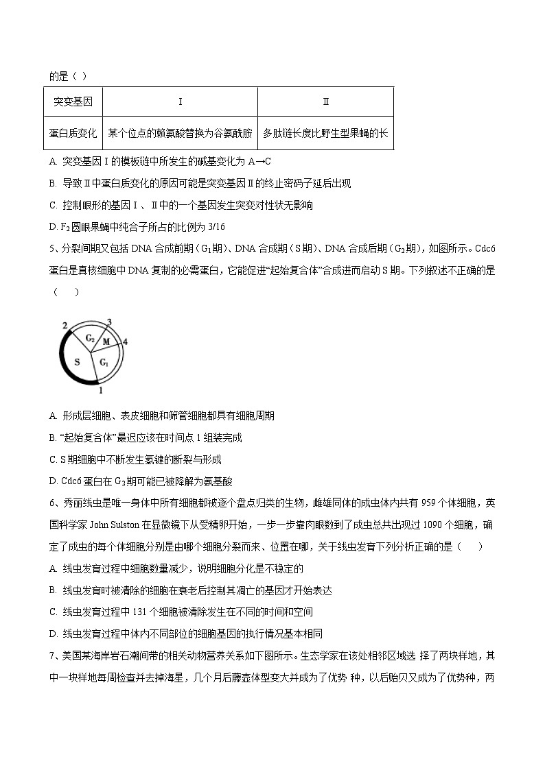 卷01【押题演练】备战2023年高考生物全真模拟押题卷（江苏卷）（原卷版）第2页