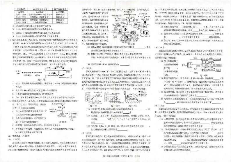 2023届重庆市康德卷高三第三次联合诊断测试生物试卷+答案第2页