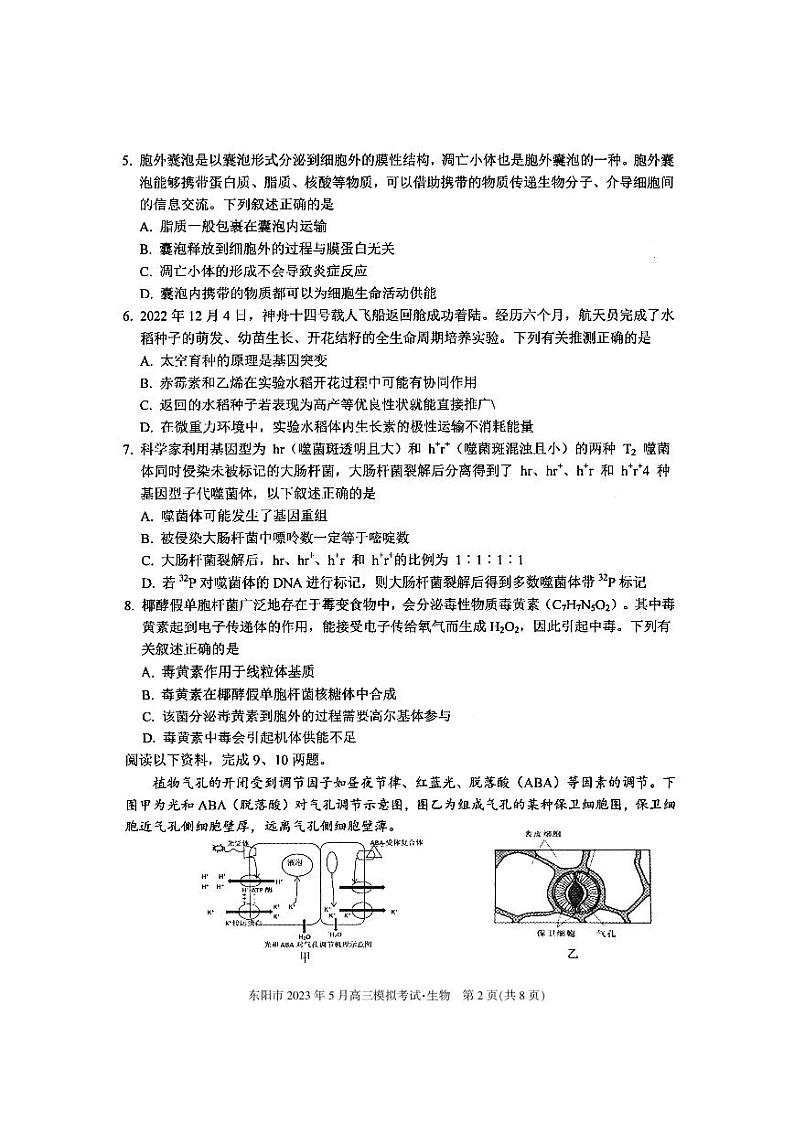 2023届浙江省东阳市高三5月模拟考试生物试卷+答案第2页