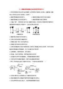 高中生物浙科版 (2019)必修1《分子与细胞》第四节 细胞核是细胞生命活动的控制中心练习